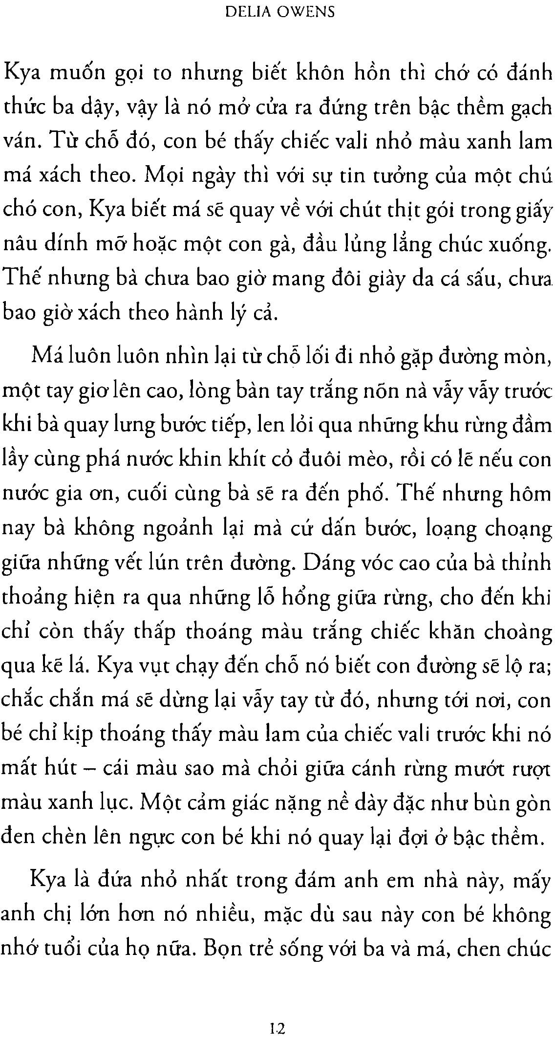 Đồng lầy - Xa Ngoài Kia Nơi Loài Tôm Hát - Delia Owens 4