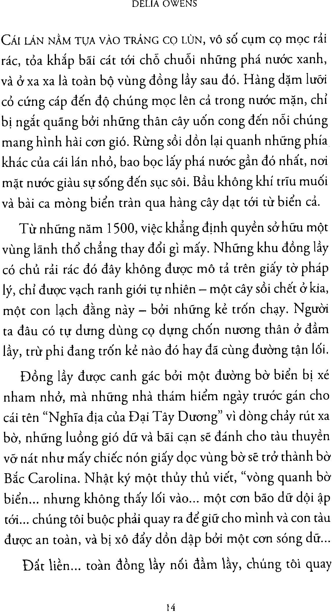 Đồng lầy - Xa Ngoài Kia Nơi Loài Tôm Hát - Delia Owens 6