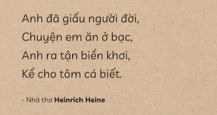 Anh Đã Giấu Người Đời - Heinrich Heine