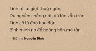 Tình Tôi - Nguyễn Bính