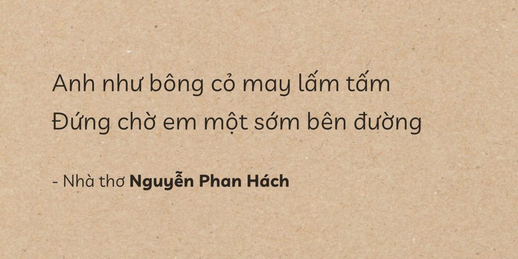 Hoa Cỏ May - Nguyễn Phan Hách