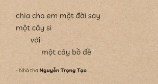 Chia - Nguyễn Trọng Tạo