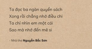 Giai Nhân Và Sách Vở - Nguyễn Bắc Sơn